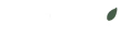 Seeds